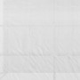 Växthus Halvtunnel med Hyllor 300 x 150 x 213 cm Vit