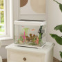 Akvarium 17 L med Filter LED-belysning, vattenpump 35 x 21 x 31 cm