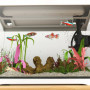Akvarium 17 L med Filter LED-belysning, vattenpump 35 x 21 x 31 cm