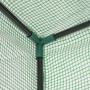 Växthus Transparent 100 x 50 x 150 cm Grön