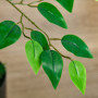Konstgjord Ficusväxt 135 cm Plast Grön