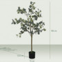 Konstväxt Eukalyptus 150 cm (H)