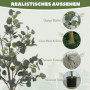 Konstväxt Eukalyptus 150 cm (H)