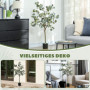 Konstväxt Eukalyptus 150 cm (H)