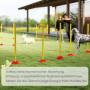 Hundagility Startset – Hopphinder, Ring, Slalom & Bärväska