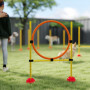 Hundagility Startset – Hopphinder, Ring, Slalom & Bärväska