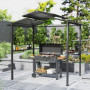 Grill Paviljong med Hyllor Vattentät 250 x 160 x 250 cm