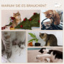 Katt Klättervägg 7 Delar med Katthus Grå