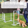 Agility Hinderbana för Hund – Justerbart Träningsset med Hopp och Ring