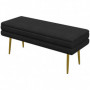 Sittbänk / Sängbänk med Förvaringsutrymme 100 x 37,5 x 42 cm Svart