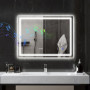 Badrumsspegel med LED-belysning 600 x 800 mm, silver