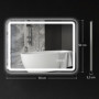 Badrumsspegel med LED-belysning 700 x 500 mm, Silver
