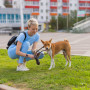Hygieniska Absorberande Duk Till Husdjur 100-pack + 30 hundbajspåsar – vattentäta 60 x 40 cm