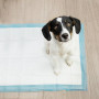 Hygieniska Absorberande Duk Till Husdjur 100-pack + 30 hundbajspåsar – vattentäta 60 x 40 cm