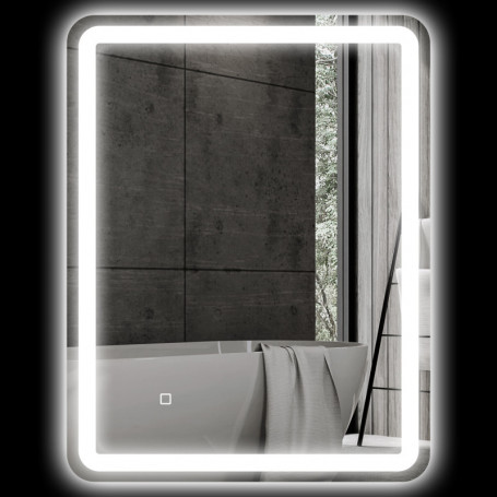 Badrumsspegel med Belysning Anti-dim 60 x 80 cm Silver
