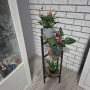 Blomsterställ 3-nivådesign i Metal 81 cm för växtpresentation i hemmet eller trädgården