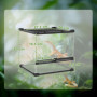 Glasterrarium med dubbeldörrar och ventilation – 30 x 30 x 30 cm