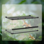 Glasterrarium med dubbeldörrar och ventilation – 50 x 30 x 25 cm