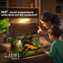 Glasterrarium med dubbeldörrar och ventilation – 50 x 30 x 25 cm