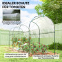 Vintertåligt Folieväxthus Transparent 400 x 123 x 171 cm Bogtak