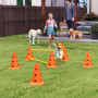 Agility Set För Hundträning 6 kon Hindar med 3 Höjder Orange