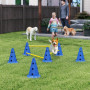 Agility Set För Hundträning 6 kon Hindar med 3 Höjder Blå/Gul