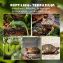 Reptilterrarium 50 x 30 x 35 cm Glas Med Stenbakgrund