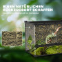 Reptilterrarium 50 x 30 x 35 cm Glas Med Stenbakgrund