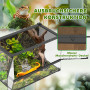 Reptilterrarium 50 x 30 x 35 cm Glas Med Stenbakgrund