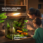 Reptilterrarium 50 x 30 x 35 cm Glas Med Stenbakgrund