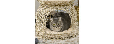 Kattsäng - Köp billiga kattbäddar online på Dealproffsen.se